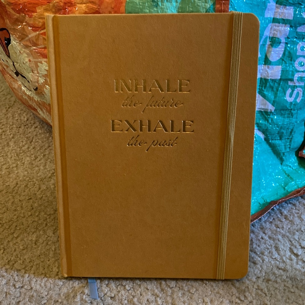 Daily intention Gratitude Journal NEE